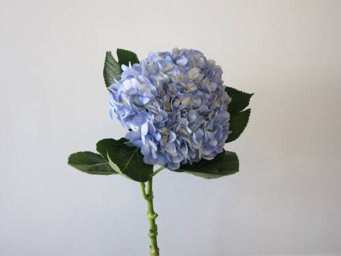 Hydrangea Wedding Flowers