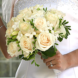 stephanotis roses bride bouquet