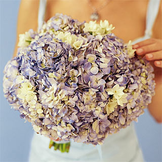 hydrangea bride bouquet