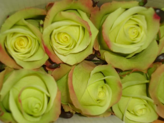 green roses wedding flowers