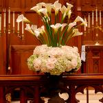 churrch arrangement callas,hydrangeas and roses.perla farms nationwide wedding flowers.