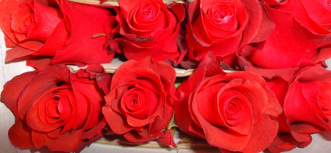 wedding flowers red roses